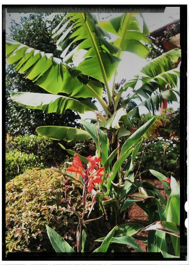 La Chambre De Ker Briac ฟุงชาล ภายนอก รูปภาพ